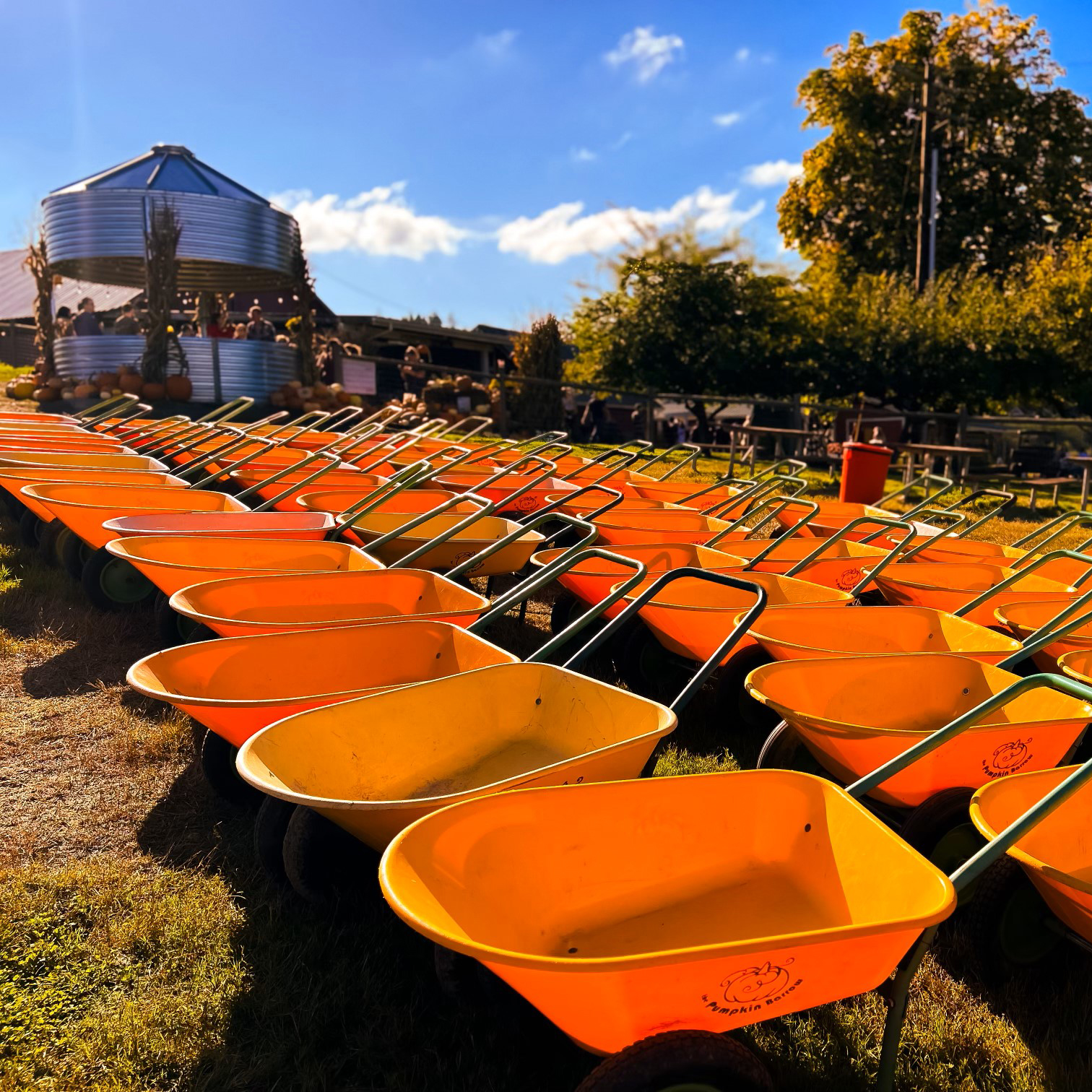 Pumpkin Barrow with Flat Free Tires - PALLET OF 14