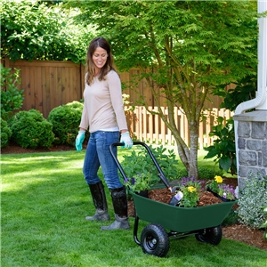 Garden Barrow